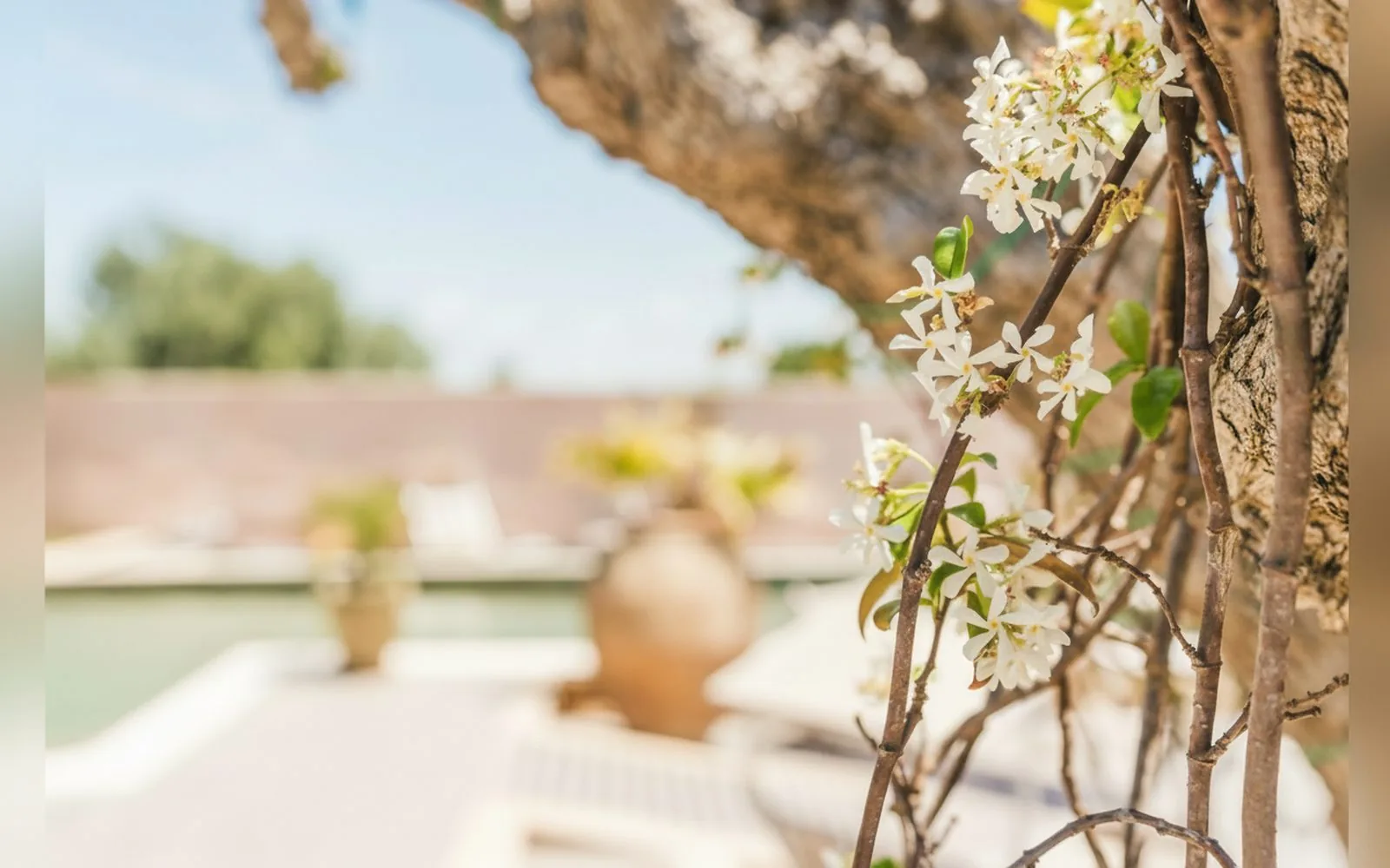 Le Giarre Villa Con Piscina, 