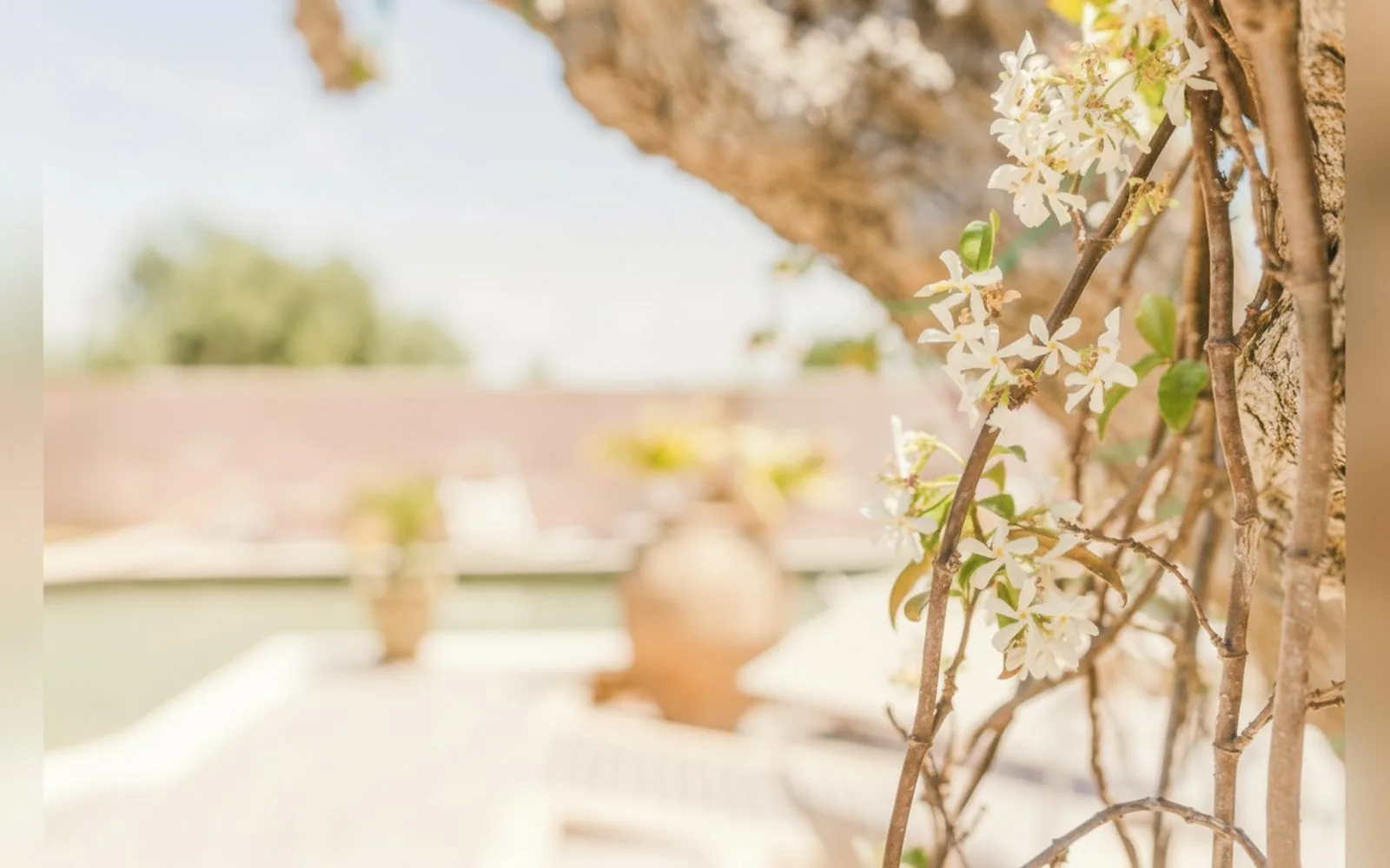 Le Giarre Villa Con Piscina, 